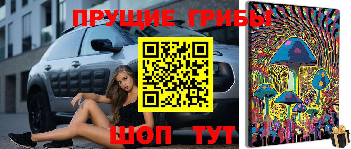 Галлюциногенные грибы GOLDEN TEACHER  Вход с VPN  Каменск-Шахтинский 